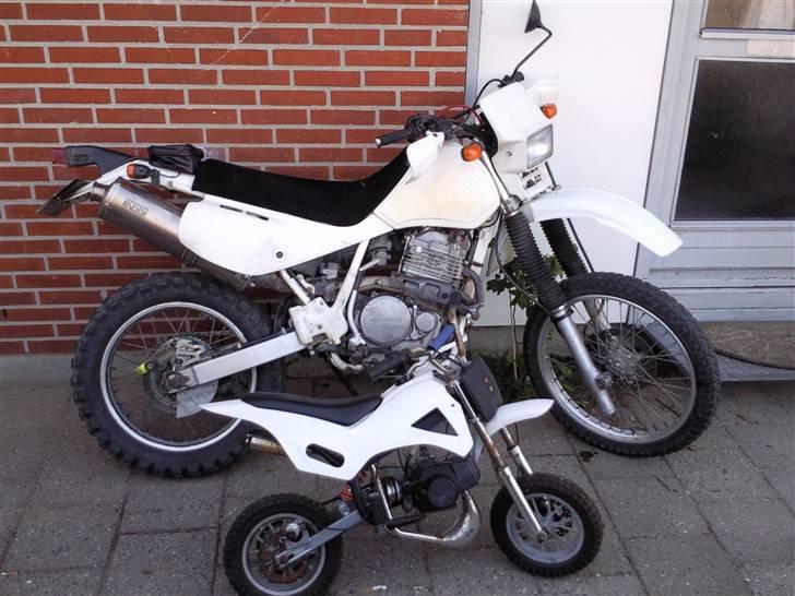 Honda XR 600 - Kammeratens mini-version af min (den gang den var hvid)...  billede 8