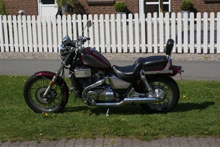 Honda VT 800 Shadow  billede 2