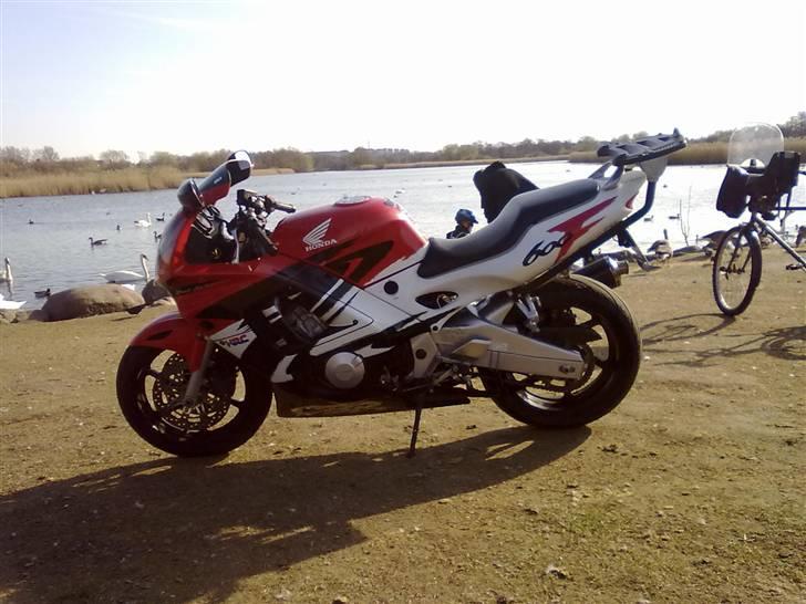 Honda CBR 600 F3 billede 7