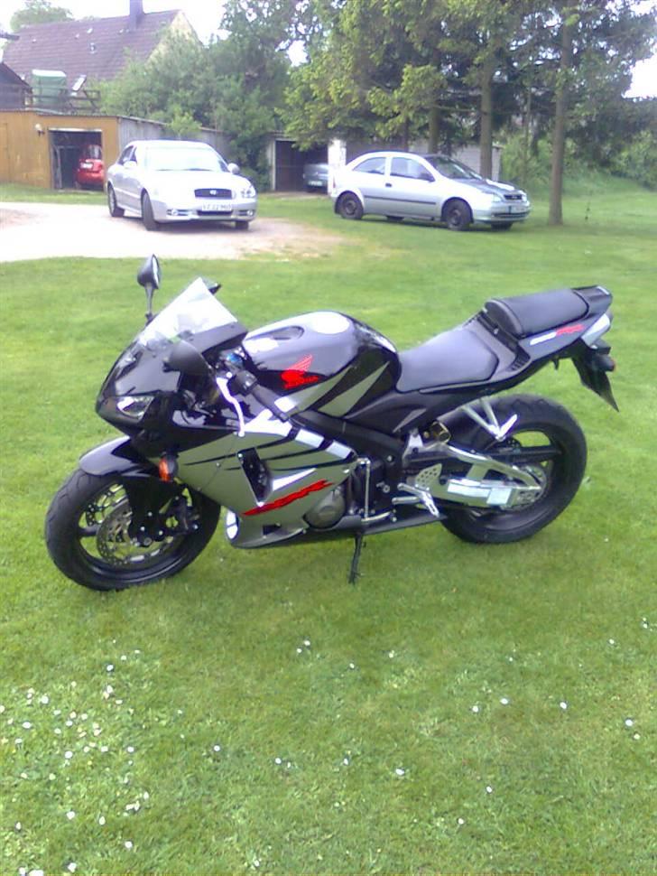 Honda CBR 600 RR - Taget hos sælger billede 1