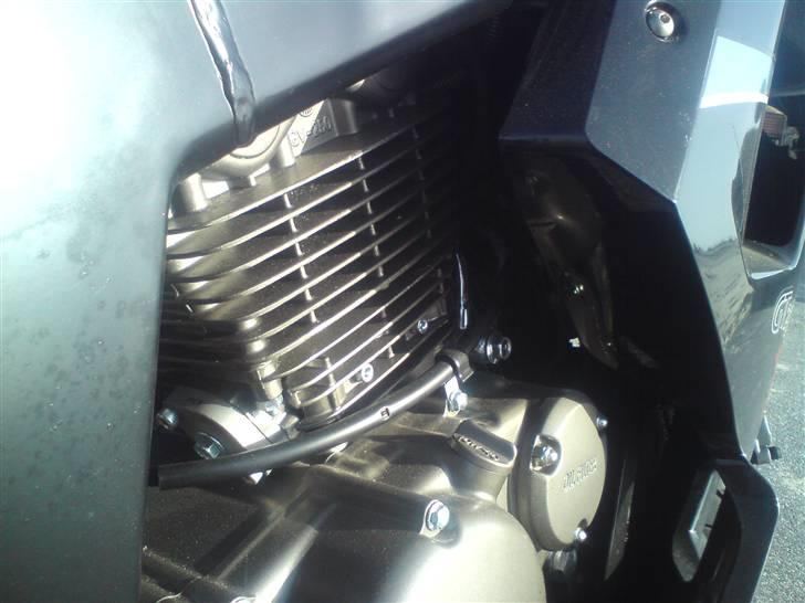 Hyosung GT250R billede 20