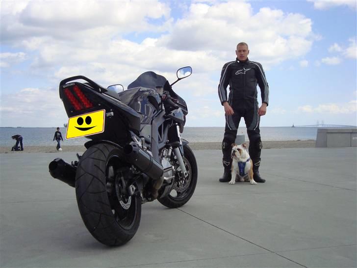 Suzuki SV 1000 S (Til Salg) billede 1