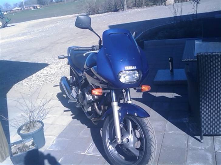 Yamaha XJ600S *solgt* billede 7
