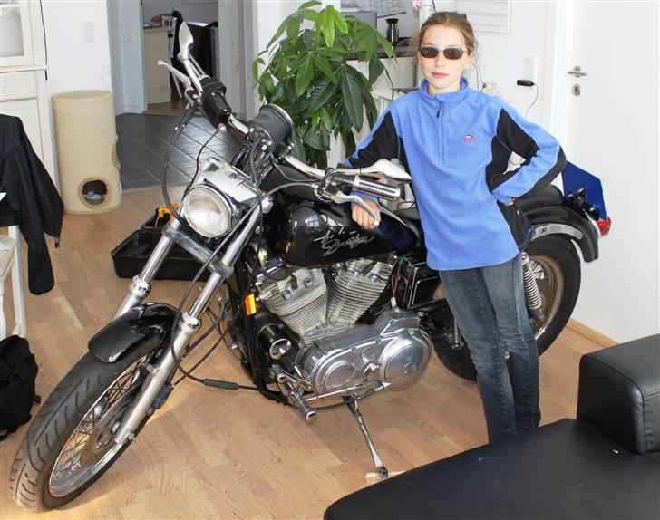 Harley Davidson XLH 883 Sportster - Lillepigen syntes fars kværn er supersej. billede 6