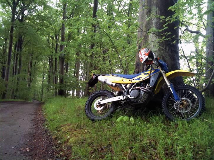 Husqvarna TE 450 - Endnu et træ der skal holdes! billede 5