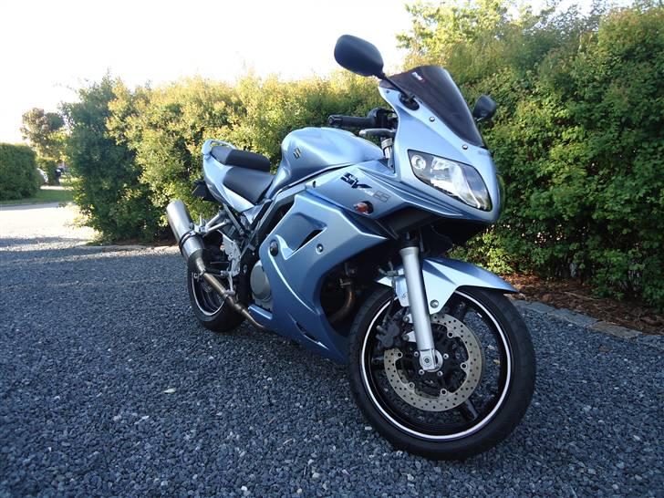 Suzuki sv650 k6 SOLGT billede 1