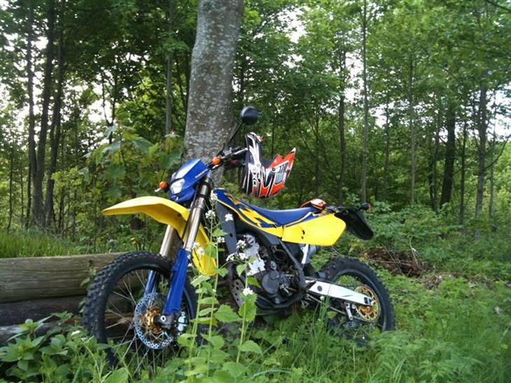 Husqvarna TE 450 - Husky bruger jeg af og til at holde træer oprejst! billede 1