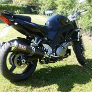 Suzuki SV1000 NK7 [Solgt]