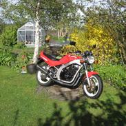 Suzuki Gs 500 E (solgt)