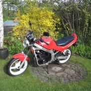 Suzuki Gs 500 E (solgt)