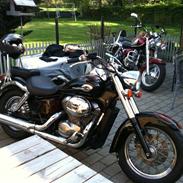 Honda VT 750 C2 ACE Shadow