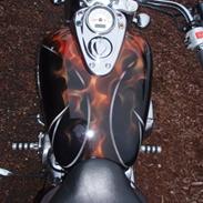 Honda VT 750 C2 ACE Shadow