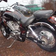 Honda VT 750 C2 ACE Shadow