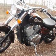 Honda VT 750 C2 ACE Shadow