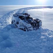 Yamaha Grizzly    (SOLGT)