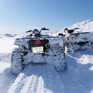 Yamaha Grizzly    (SOLGT)