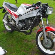 Yamaha TZR 125 Projekt 