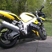 Suzuki gsxr