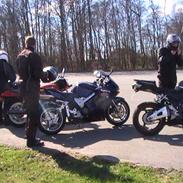 Honda VFR 800 Vtec