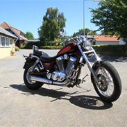 Suzuki vs 1400