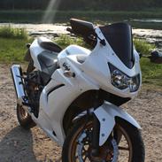 Kawasaki Ninja 250R (SOLGT)