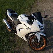 Kawasaki Ninja 250R (SOLGT)