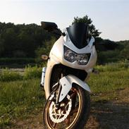 Kawasaki Ninja 250R (SOLGT)