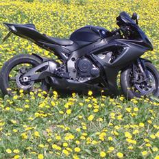 Suzuki Gsxr 750 (SOLGT)