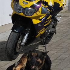 Honda CBR900RRV - Solgt