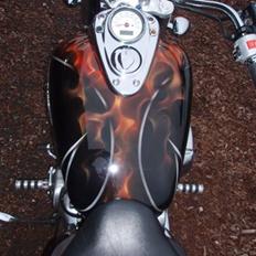 Honda VT 750 C2 ACE Shadow