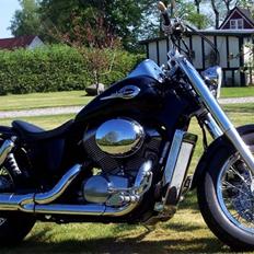 Honda shadow ace