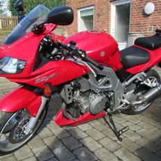 Suzuki SV1000S (SOLGT)