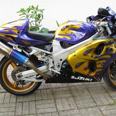 Suzuki TL1000R (SOLGT)