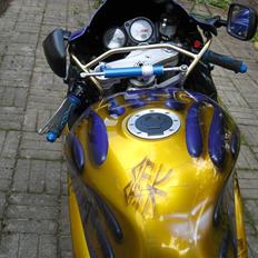 Suzuki TL1000R (SOLGT)