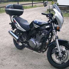 Suzuki *SOLGT* GS 500 F