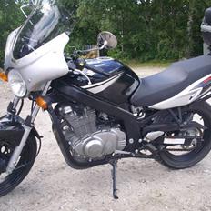 Suzuki *SOLGT* GS 500 F