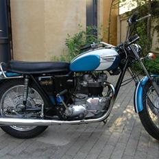 Triumph TR6