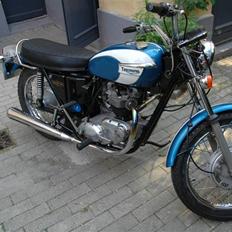 Triumph TR6