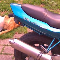 Suzuki GSF 600 Bandit