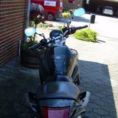 Yamaha fz6-N