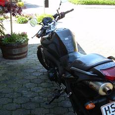 Yamaha fz6-N