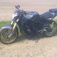 Yamaha Fzr 1000 streetfighter