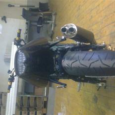 Yamaha Fzr 1000 streetfighter