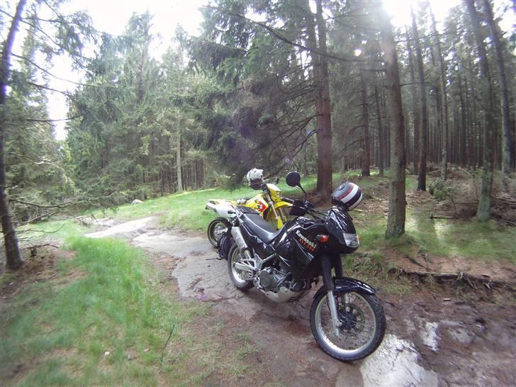 Kawasaki Kle 500 billede 7