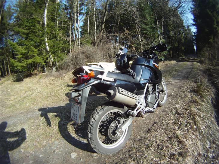 Kawasaki Kle 500 billede 8