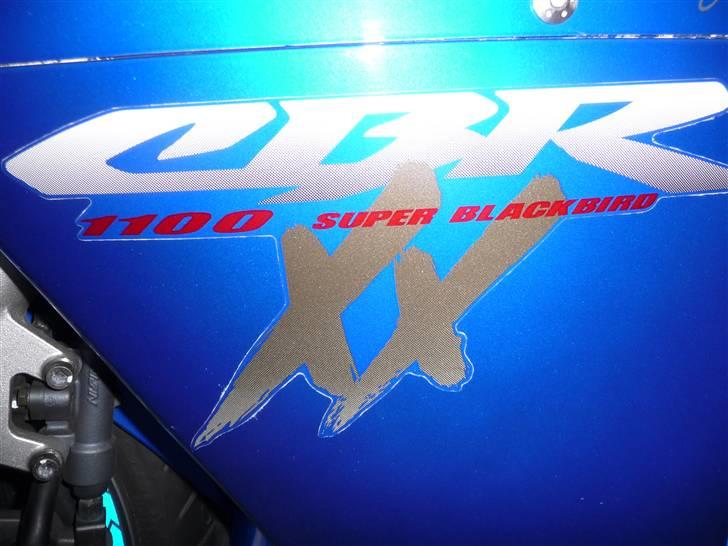 Honda CBR 1100 XX billede 3