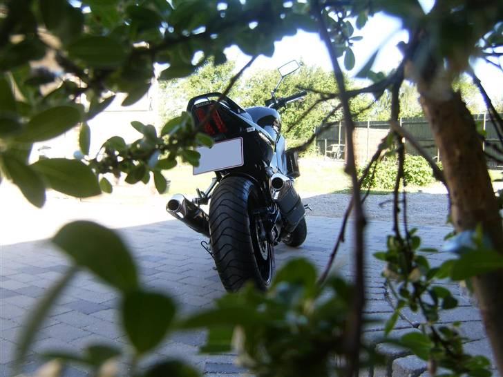Suzuki SV1000 NK7 [Solgt] billede 6