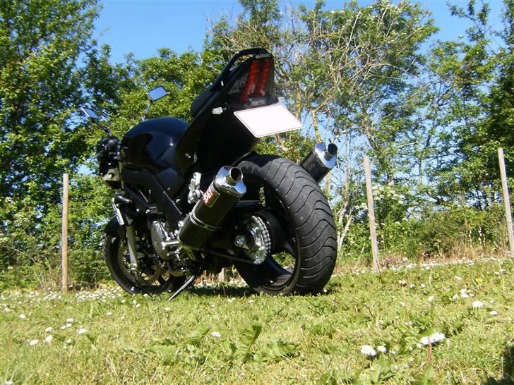 Suzuki SV1000 NK7 [Solgt] billede 9