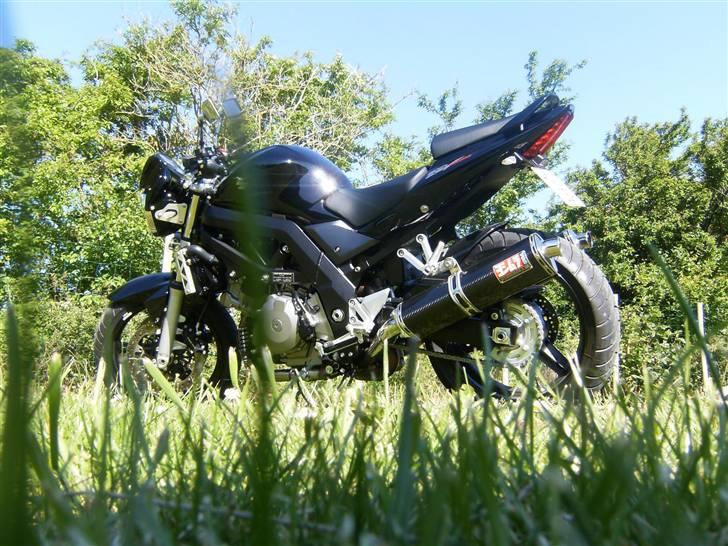 Suzuki SV1000 NK7 [Solgt] billede 10