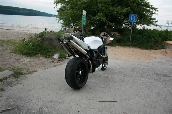 Honda Cbr 900 streetfighter billede 10